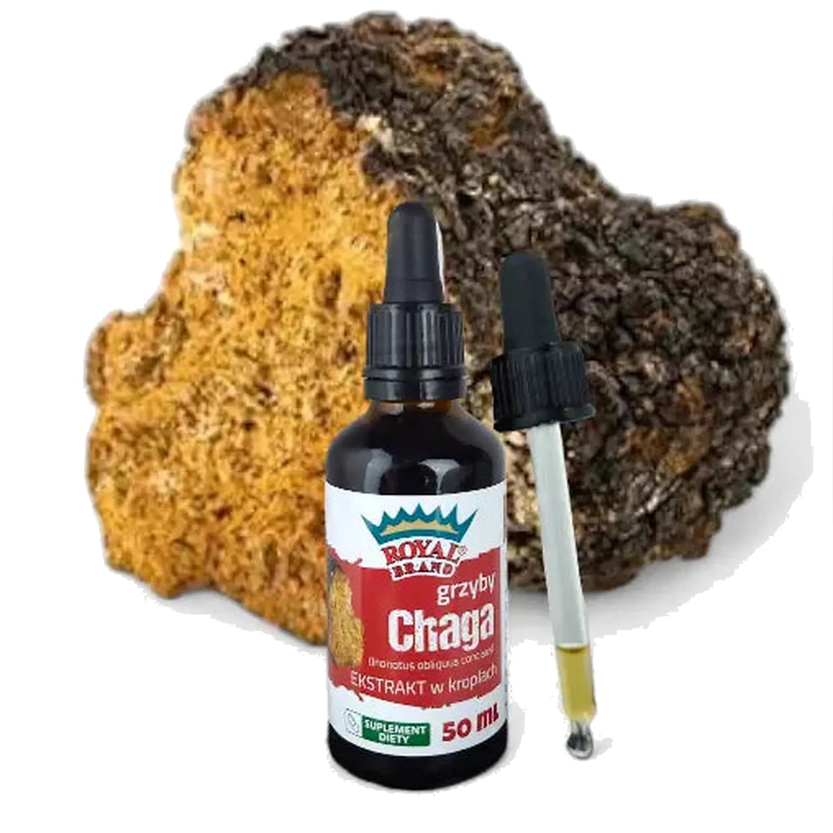 Ekstrakt Chaga 50 ml – Royal Brand