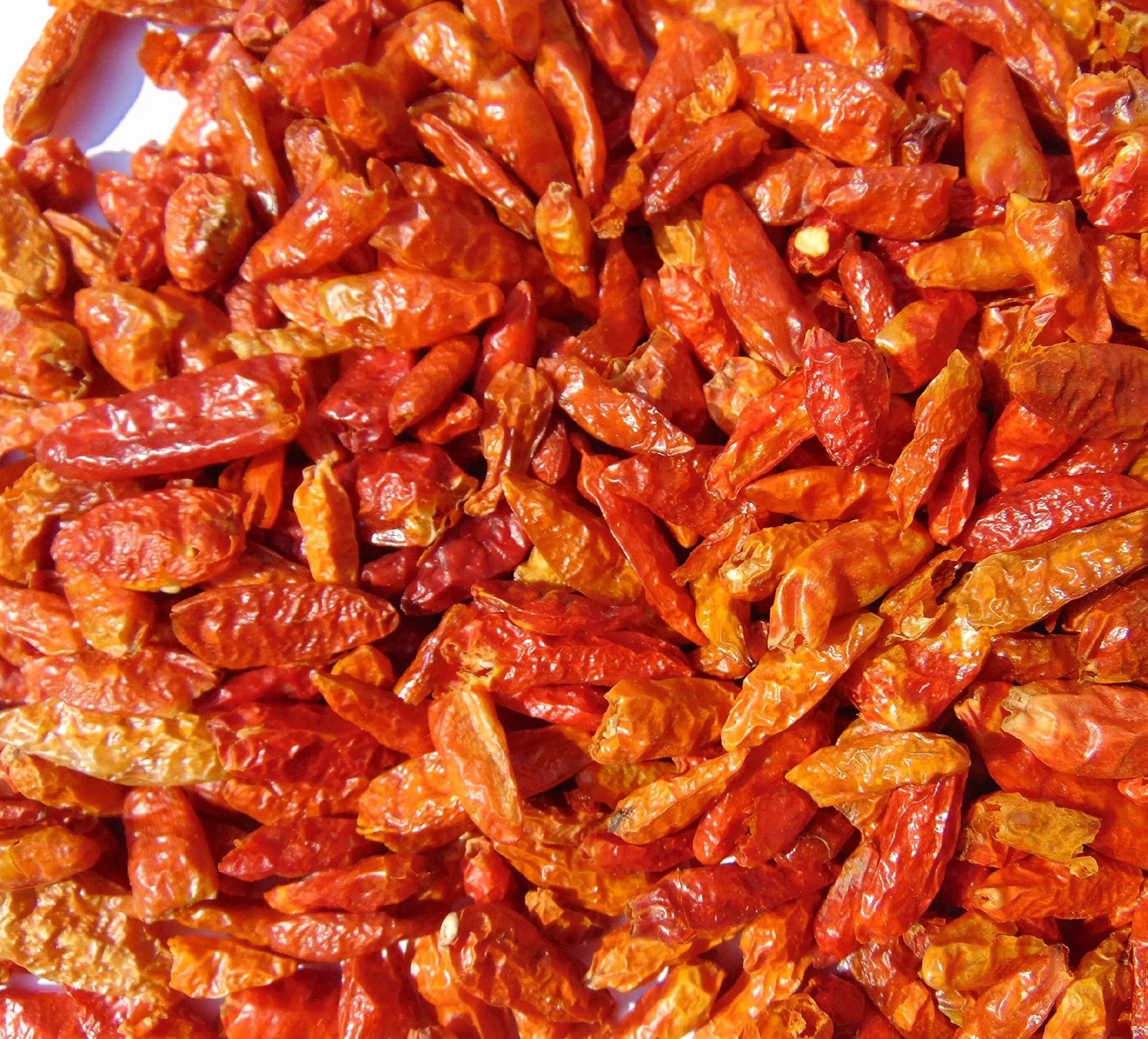 1c3d3d93ac6d141cb11227a76275ce59