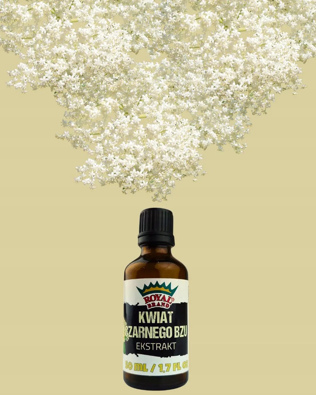 1ffa6657aba548662d2010476d9be226