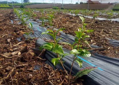 6f290df55320ece7e5917d20293d1bb3