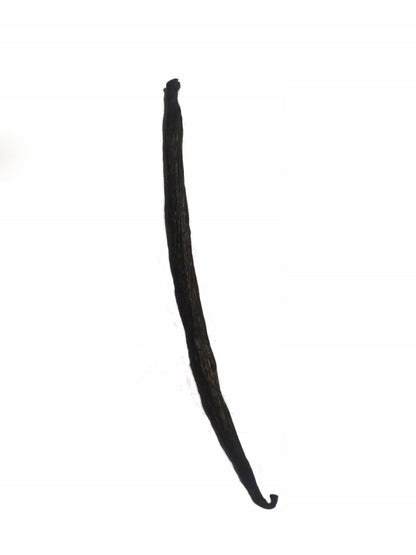 LASKI WANILII BIO BOURBON Z MADAGASKARU 1kg 14 - 20 cm GRUBE XL Royal Brand