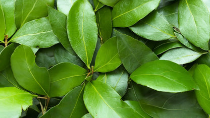 8167f4a27fad736a3cc5352e0ba54ce6