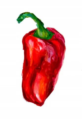 4657e9aafbdd8085496a494c570e9816