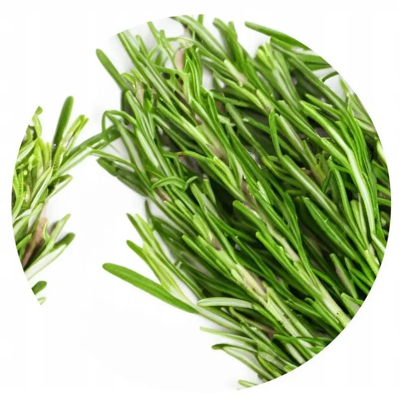 8f41ed2f6e44e803647e23afdca593f4