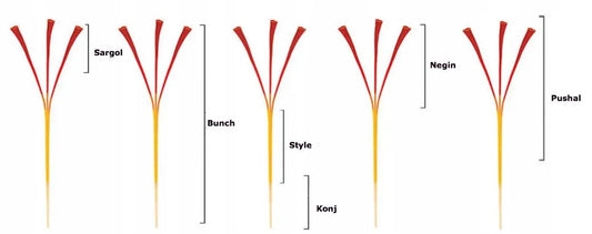 ddf4e989d6bcdcc607d9e6c9ae12ec2b