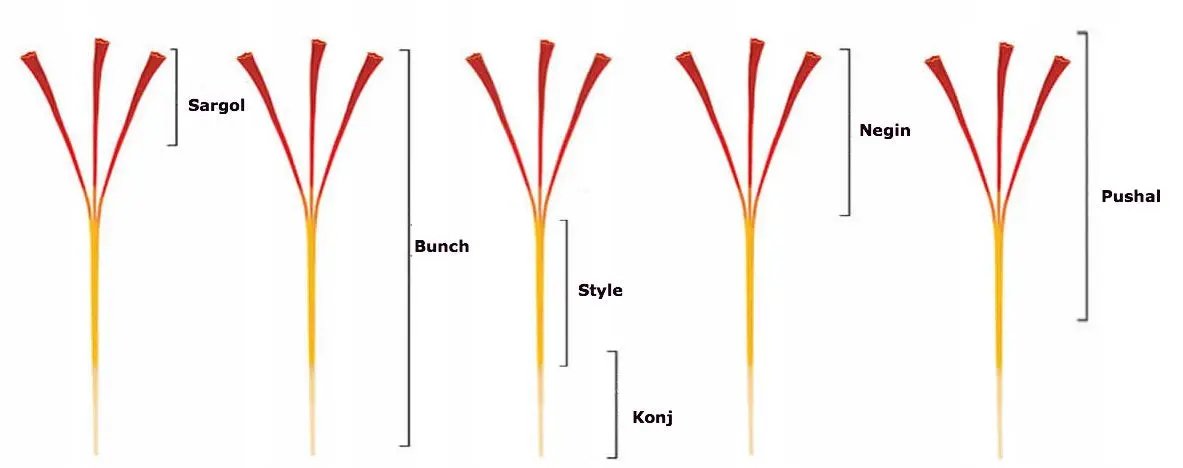 6d93fbedfe93ecfbaf939ba39a221906