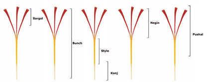 6d93fbedfe93ecfbaf939ba39a221906