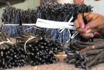 8036fedf457e4cb16bfd0b4876bb0abc