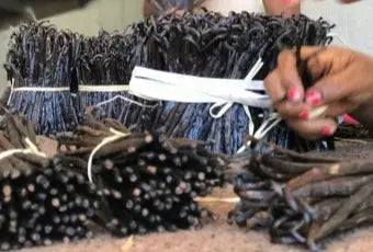 14b26e6875f2a6891f8d6e1b1808e5d0