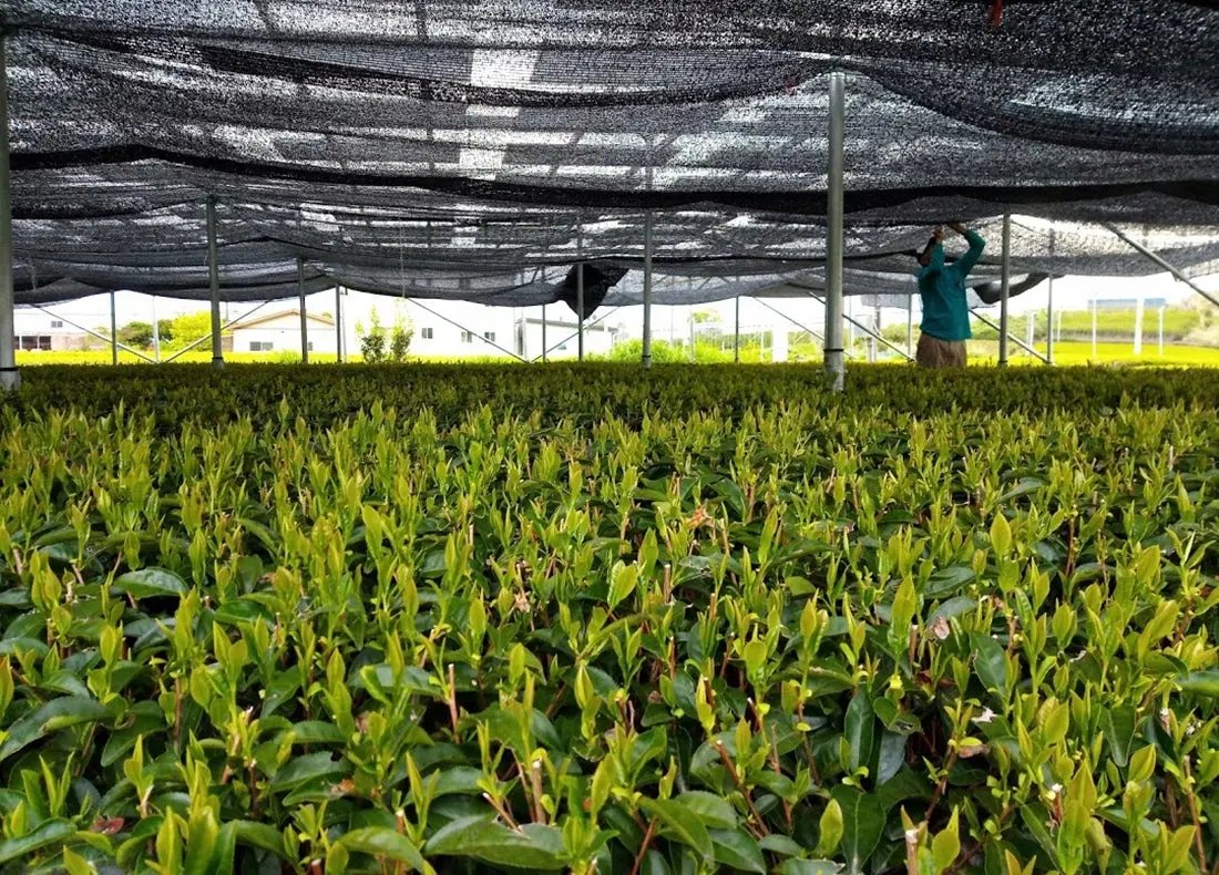 d0136aeb203d6f8f9553841a1a1c0033