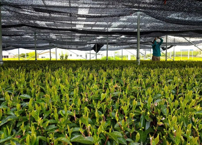 d0136aeb203d6f8f9553841a1a1c0033