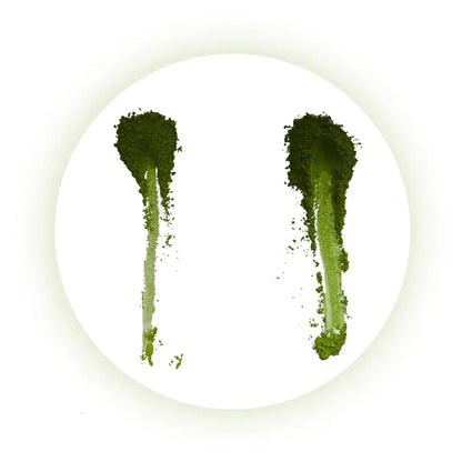 Zestaw Ceremonialna Matcha 25g + Chasen + Chashaku - Oficjalny sklep Royal Brand